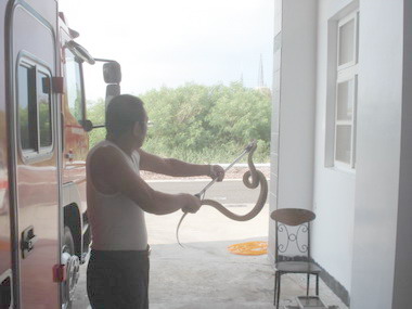 長蟲出沒廟址 民眾夜驚魂(圖)