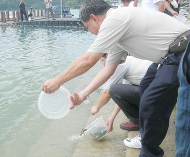 大觀發電廠舉辦魚苗放養活動(圖)