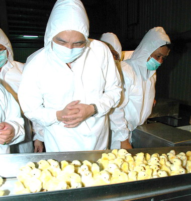 朱立倫訪視農畜場(圖)