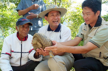 受傷康復的穿山甲回到達巴里蘭生態保護區(圖)