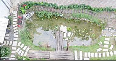 水生植物生態園區完工(圖)