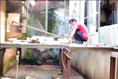 兄弟鬩牆 里長屋佔用部分被拆(圖)