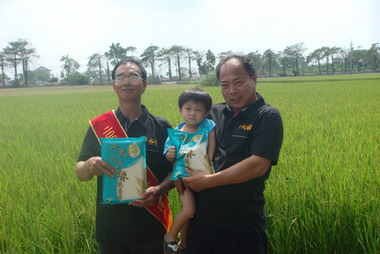 雲林出好米 再度蟬聯2008十大經典好米(圖)