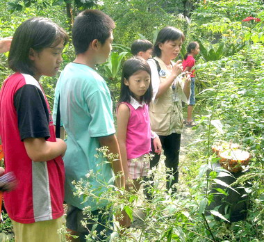 小小保育員活動今天展開(圖)