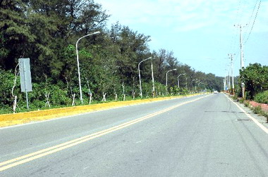 市府研究路燈採隔盞亮措施可行性(圖)