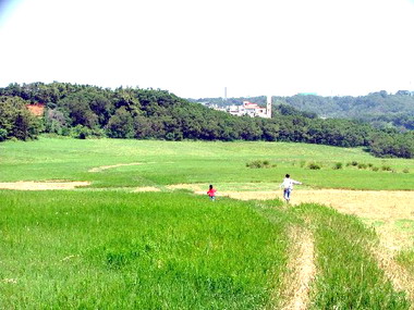 青青草原步道舖面年底完工(圖)