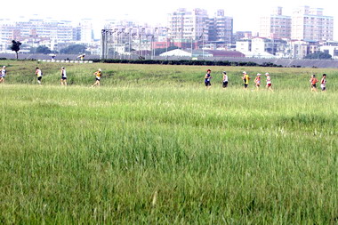 金城桐花盃全國路跑賽今熱鬧開跑(圖)