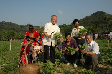 十二寮田園樂活動 民眾快樂收成蘿蔔、芥菜(圖)