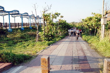 體委會補助辦理自行車道串聯規劃(圖)