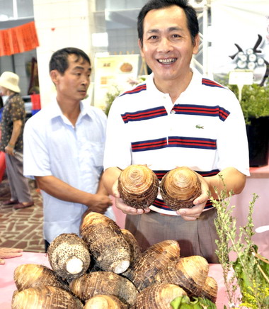 銅鑼鄉農會杭菊芋頭節開鑼(圖)
