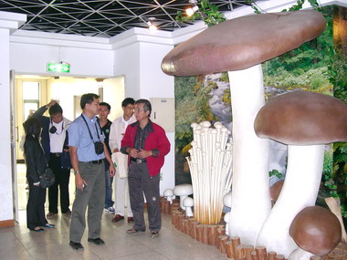 泰國農業研習團參觀霧峰菇類文化館(圖)
