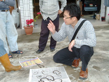 群蛇出沒  民眾小心(圖)