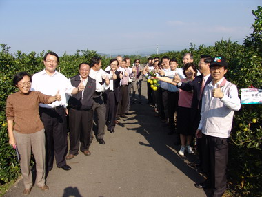 「橙」心足「購」認養柳丁樹(圖)