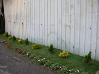 新西里髒亂點綠美化(圖)