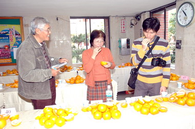 寶山椪柑品質佳評鑑第1名(圖)