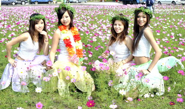 三灣花田桔事活動13日登場(圖)