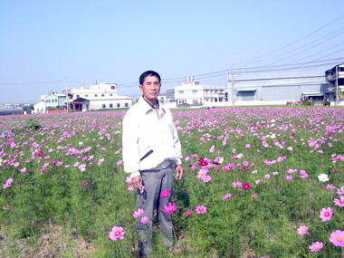張慶富造就霧峰花海(圖)