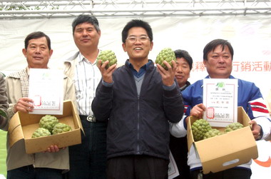 台東舉辦釋迦節產業文化行銷活動(圖)