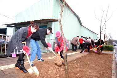縣府打造花園城市 山櫻花添色彩(圖)