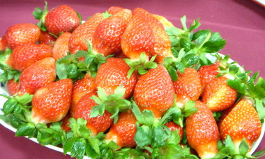 大湖草莓文化季選拔代言草莓寶寶(圖)