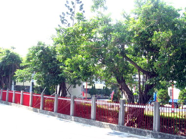 霧峰公所 重新闢建市民廣場(圖)