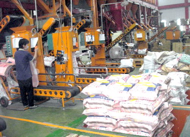 稻作嚴重欠收農糧署遭批判(圖)