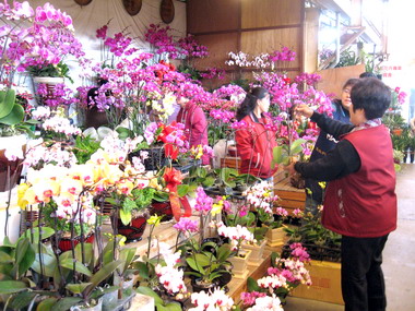 大里市國光花市春節不打烊(圖)
