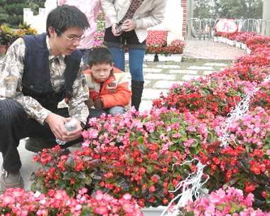 金融風暴來襲花市受影響(圖)