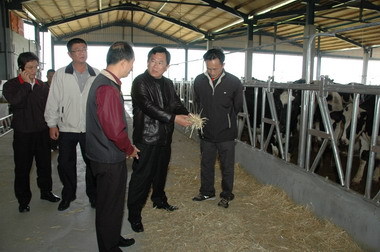 新港鄉「寬綠牧場」經營規模逆勢成長(圖)