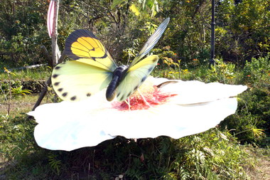 特有生物中心舉辦吹牛王活動(圖)