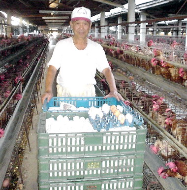 雞蛋飆漲家庭主婦吃不消(圖)