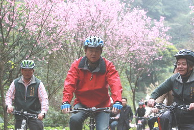 縣府團隊三芝行 推廣賞櫻之旅(圖)