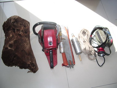 竊樟2人組上山竊取樟木(圖)