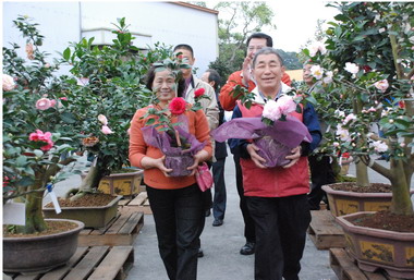 2009苗栗三灣茶花情人節(圖)