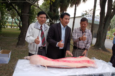 肉品市場為雲林豬肉嚴格把關(圖)