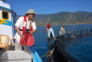 曹啟鴻參觀箱網養殖(圖)