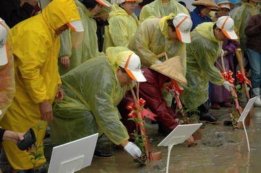 植樹節慶祝活動-森情滿台灣(圖)