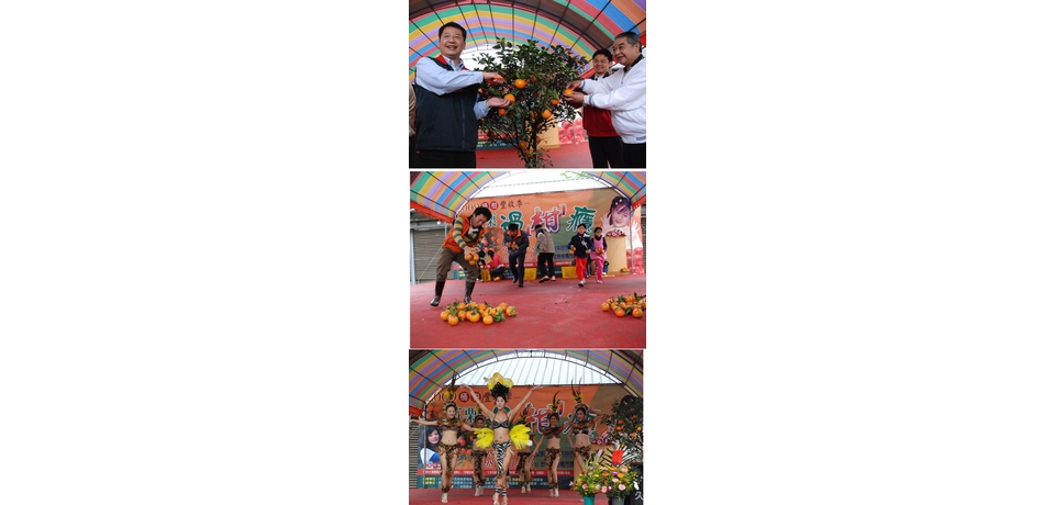 桶柑豐收季─苗栗過『柑』癮活動今開幕(圖)
