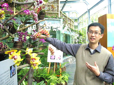 蝴蝶蘭特展即日起展出(圖)