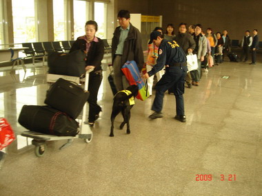 高雄海關緝毒犬進駐金門水頭碼頭協助查緝(圖)