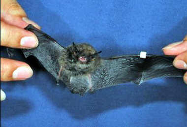 玉管處邁入二十四個年頭保育成果亮眼(圖)