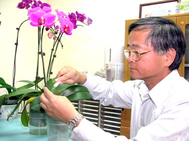 研發蘭花病毒晶片張清安獲成就獎(圖)