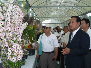 屏東縣九如鄉北玄宮台灣蘭花節(圖)