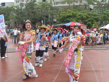 2009太平枇杷節風光登場(圖)