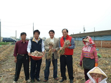 愛用雲林蒜頭  大潤發率先響應(圖)
