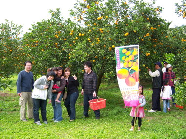 東河地區香丁盛產縣府協助促銷(圖)