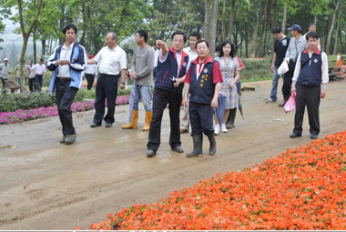 桐花公園迎接5月10日桐花婚禮(圖)