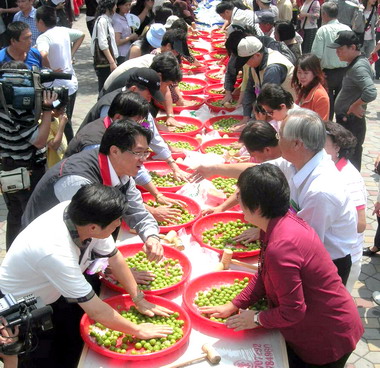 南投梅子節千人製梅DIY(圖)