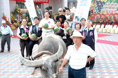鹿草西瓜產業文化節熱鬧登場(圖)