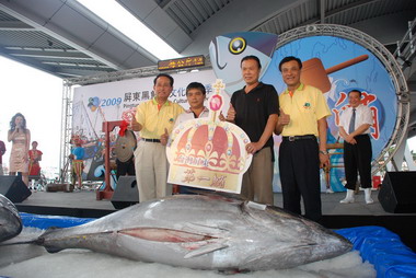 第一尾黑鮪魚拍賣！為今年觀光季揭開序幕(圖)